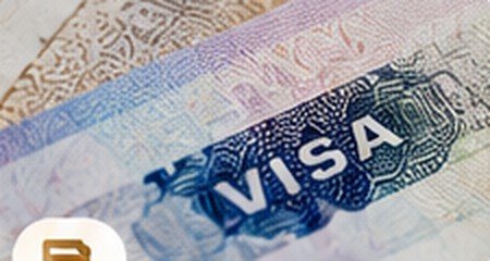Visa Services